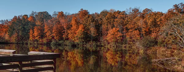 TOP SPOTS FOR FALL FOLIAGE IN YORK COUNTY, SOUTH CAROLINA