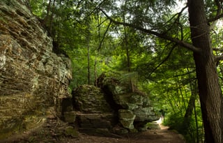 The Ledges in Grand Ledge and Fitzgerald Park