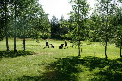 lake tahoe golf course