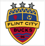 Explore Flint and Genesee hosts International Friendly Game